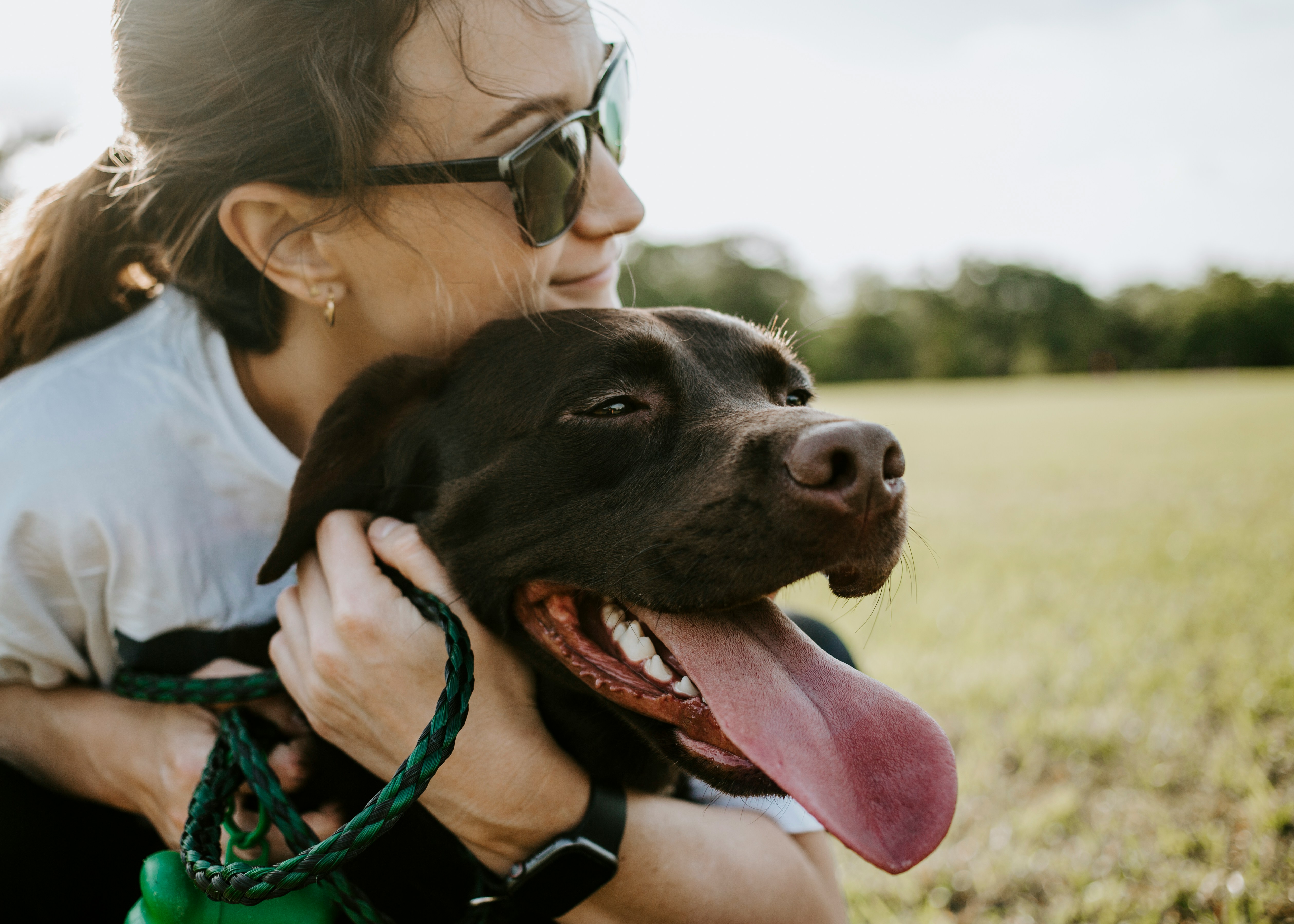 La recette du bonheur avec son chien en 5 conseils